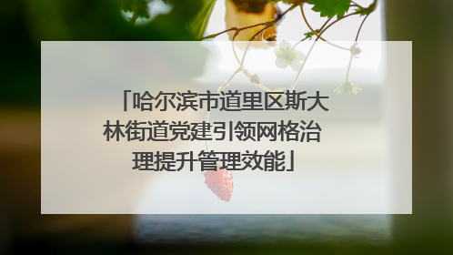 哈尔滨市道里区斯大林街道党建引领网格治理提升管理效能