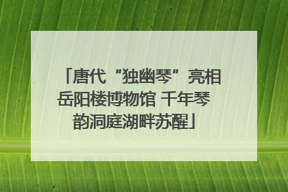 唐代“独幽琴”亮相岳阳楼博物馆 千年琴韵洞庭湖畔苏醒