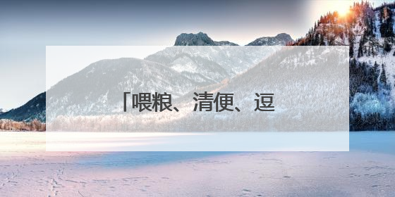 喂粮、清便、逗猫狗，济南有帮“上门宠托师”