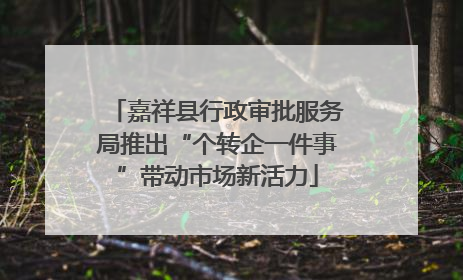 嘉祥县行政审批服务局推出“个转企一件事”带动市场新活力