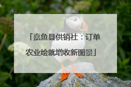 嘉鱼县供销社：订单农业绘就增收新图景