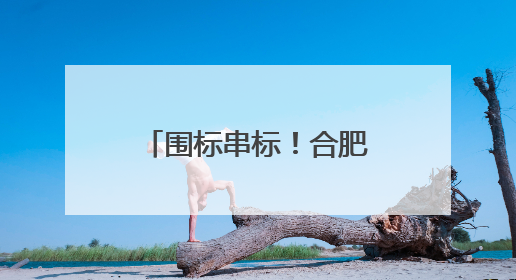 围标串标！合肥合能信息科技暂停全军采购资格
