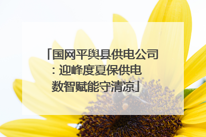 国网平舆县供电公司：迎峰度夏保供电  数智赋能守清凉