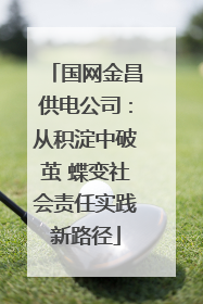 国网金昌供电公司：从积淀中破茧 蝶变社会责任实践新路径