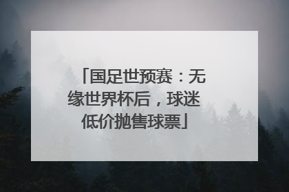 国足世预赛：无缘世界杯后，球迷低价抛售球票