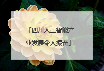 四川人工智能产业发展令人振奋