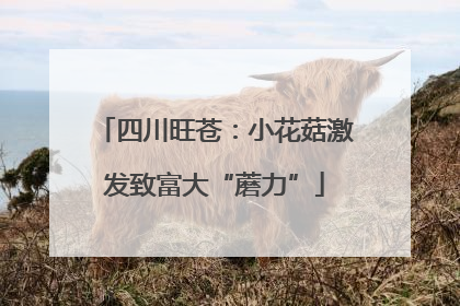 四川旺苍：小花菇激发致富大“蘑力”