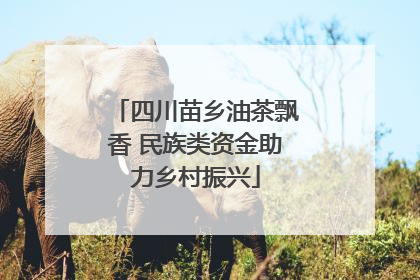 四川苗乡油茶飘香 民族类资金助力乡村振兴