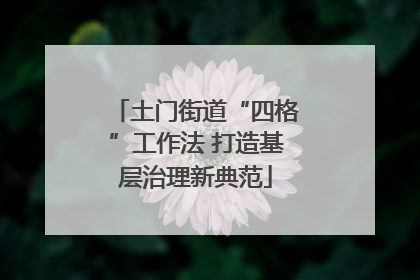 土门街道“四格”工作法 打造基层治理新典范