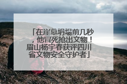在崖墓坍塌前几秒，他冒死抢出文物！眉山杨宇春获评四川省文物安全守护者