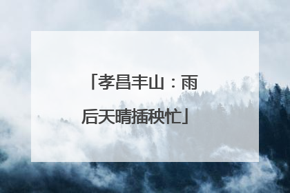孝昌丰山：雨后天晴插秧忙
