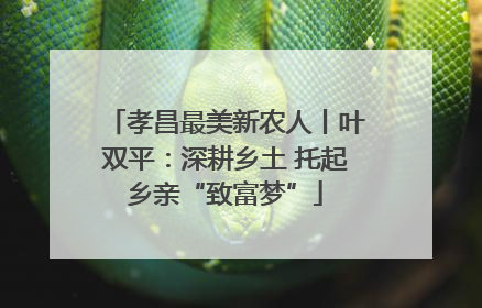 孝昌最美新农人丨叶双平：深耕乡土 托起乡亲“致富梦”