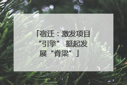 宿迁：激发项目“引擎” 挺起发展“脊梁”