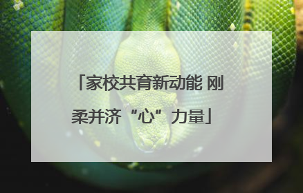 家校共育新动能 刚柔并济“心”力量