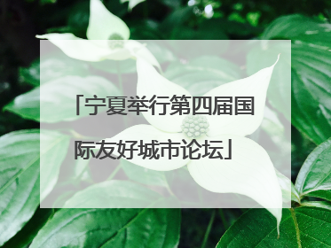 宁夏举行第四届国际友好城市论坛