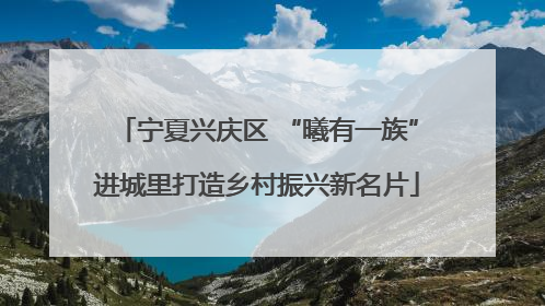 宁夏兴庆区 “曦有一族”进城里打造乡村振兴新名片