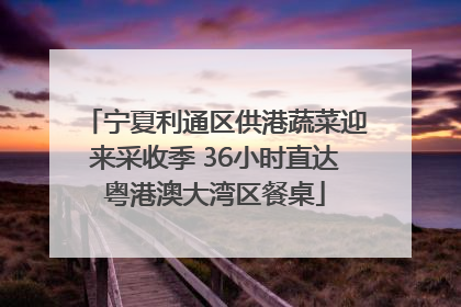 宁夏利通区供港蔬菜迎来采收季 36小时直达粤港澳大湾区餐桌