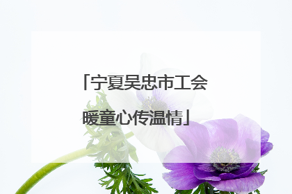 宁夏吴忠市工会暖童心传温情