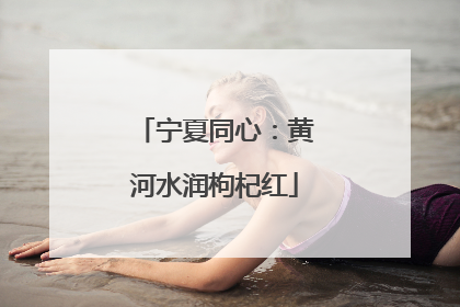 宁夏同心：黄河水润枸杞红