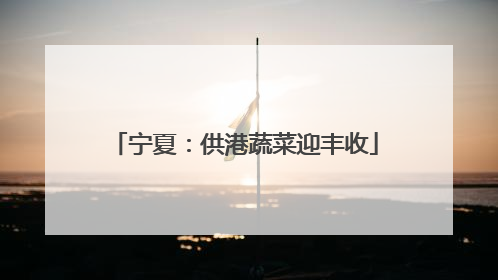 宁夏：供港蔬菜迎丰收