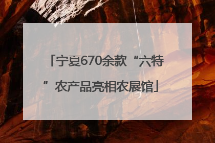 宁夏670余款“六特”农产品亮相农展馆
