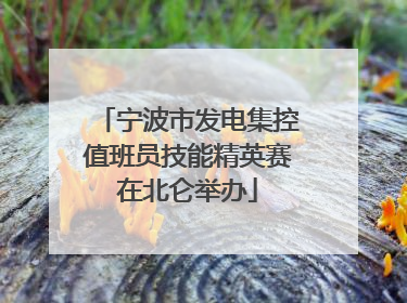 宁波市发电集控值班员技能精英赛在北仑举办
