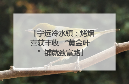 宁远冷水镇：烤烟喜获丰收 “黄金叶”铺就致富路