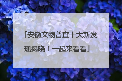 安徽文物普查十大新发现揭晓！一起来看看