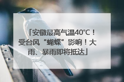 安徽最高气温40℃！受台风“蝴蝶”影响！大雨、暴雨即将抵达