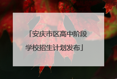 安庆市区高中阶段学校招生计划发布