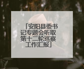 安阳县委书记专题会听取第十二轮巡察工作汇报