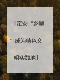 定安“乡咖”成为特色文明实践地