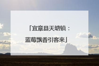宜章县天塘镇：蓝莓飘香引客来