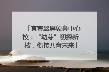 宜宾翠屏象鼻中心校：“幼芽”初探新枝，衔接共育未来