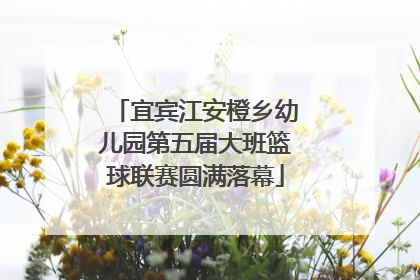 宜宾江安橙乡幼儿园第五届大班篮球联赛圆满落幕