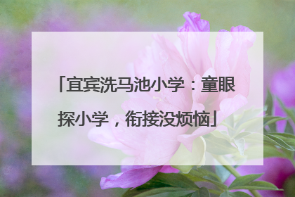 宜宾洗马池小学：童眼探小学，衔接没烦恼