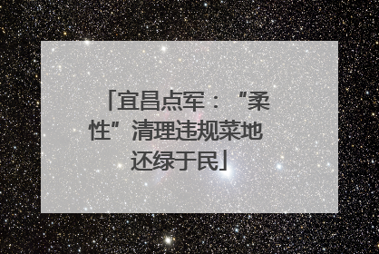 宜昌点军：“柔性”清理违规菜地 还绿于民