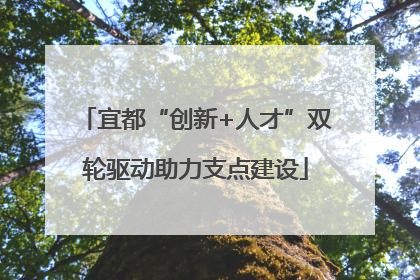 宜都“创新+人才”双轮驱动助力支点建设