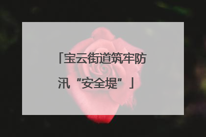宝云街道筑牢防汛“安全堤”