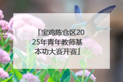 宝鸡陈仓区2025年青年教师基本功大赛开赛