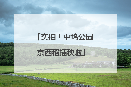 实拍！中坞公园京西稻插秧啦