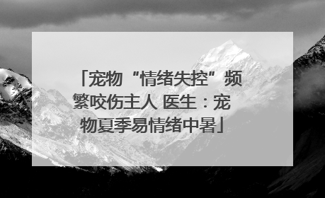 宠物“情绪失控”频繁咬伤主人 医生：宠物夏季易情绪中暑