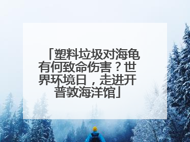 塑料垃圾对海龟有何致命伤害？世界环境日，走进开普敦海洋馆