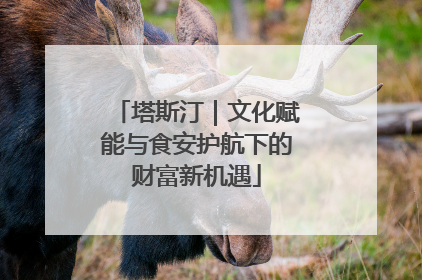 塔斯汀｜文化赋能与食安护航下的财富新机遇