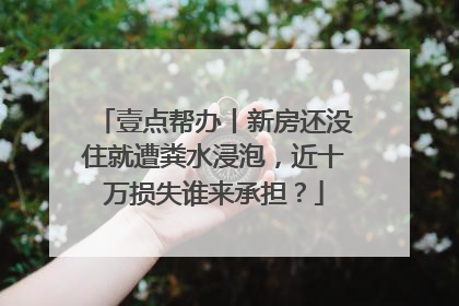 壹点帮办丨新房还没住就遭粪水浸泡，近十万损失谁来承担？