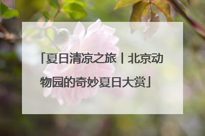 夏日清凉之旅丨北京动物园的奇妙夏日大赏