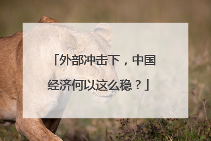 外部冲击下，中国经济何以这么稳？