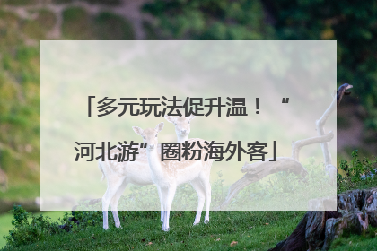 多元玩法促升温！“河北游”圈粉海外客