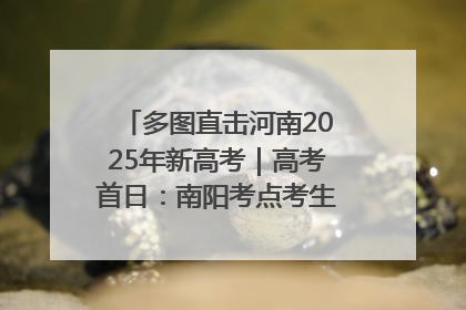 多图直击河南2025年新高考｜高考首日：南阳考点考生信心满满迎战