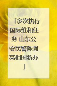 多次执行国际维和任务 山东公安民警陈强亮相国新办